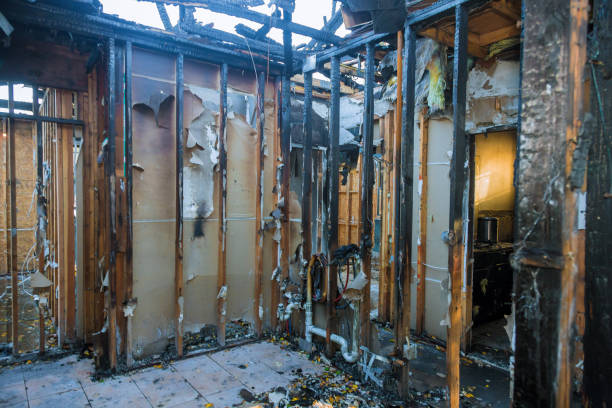 Professional Fire Damage Assessment technician working in Saint Petersburg, FL