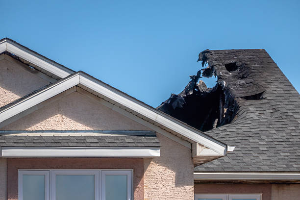 Top rated local Fire Damage Assessment specialists in Saint Petersburg, FL